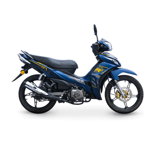 RX110