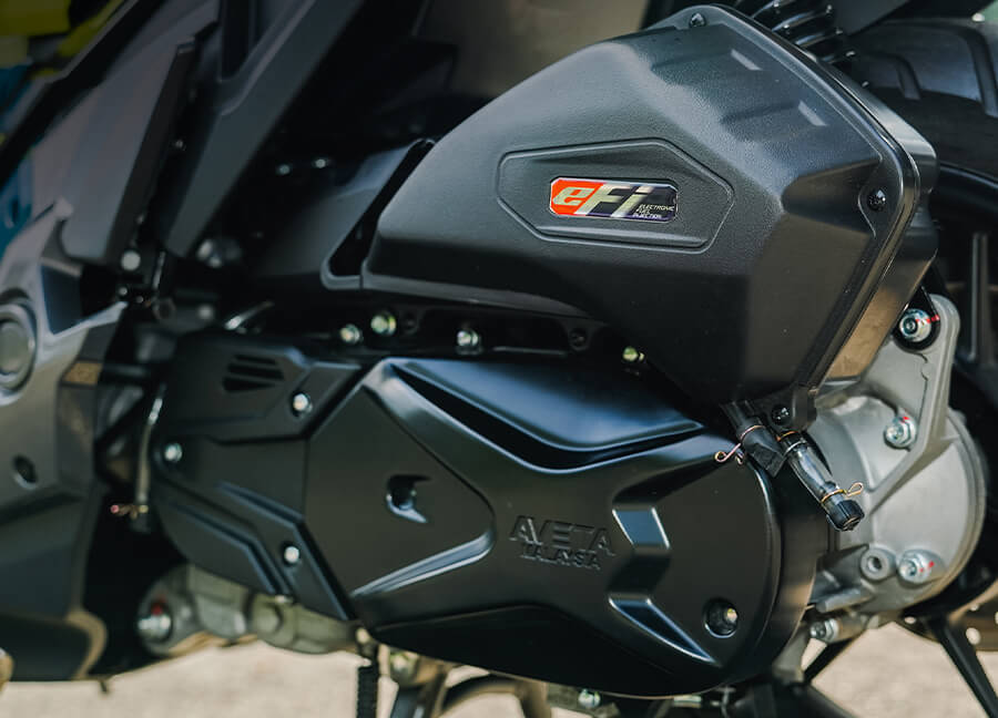 Bosch Electronic Fuel Injection (EFI)